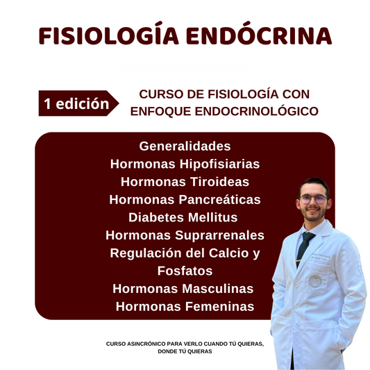 PREVENTA FISIOLOGÍA ENDÓCRINA