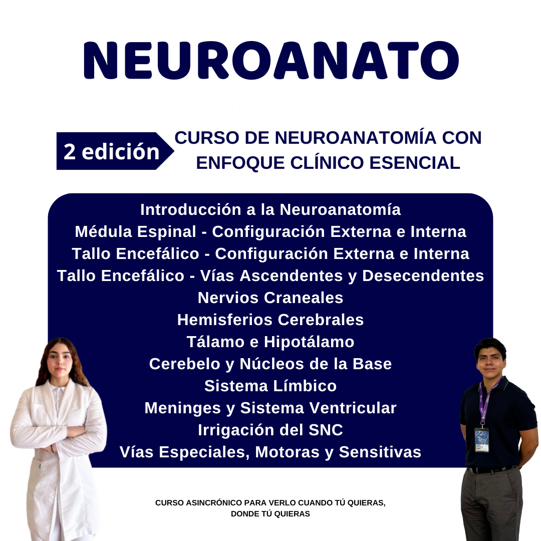 CURSO NEUROANATO